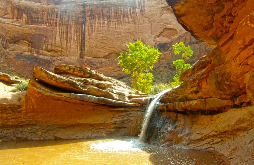 Coyote Gulch – Escalante Coyote Gulch – Escalante